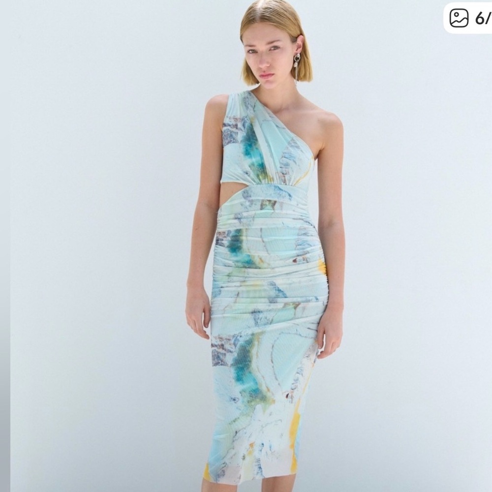 ZARA PRINTED CUT-OUT TULLE DRESS